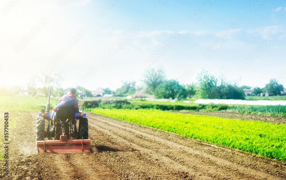 Obraz premium A farmer on a tractor cultivates a field before a new planting. Soil milling, crumbling and mixing. Loosening the surface, cultivating land for further planting. Agroindustry, farming. Growing food
