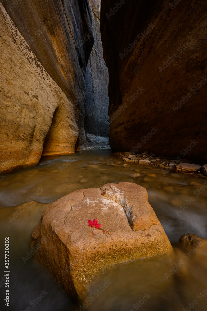 Water Rushes Around Rock and Leaf Water Rushes Around Rock and Leaf
