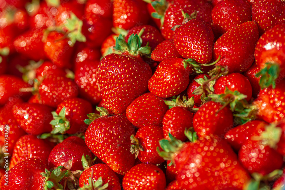 A lot of ripe strawberries closeup, background, texture A lot of ripe strawberries closeup, background, texture