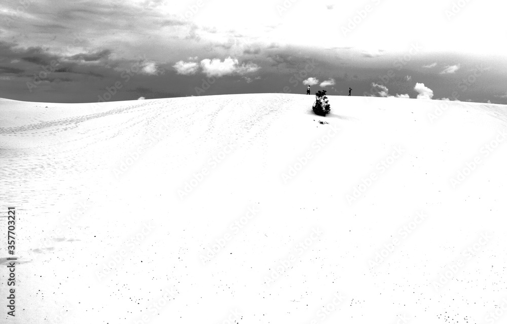White Sands of Moreton Island
