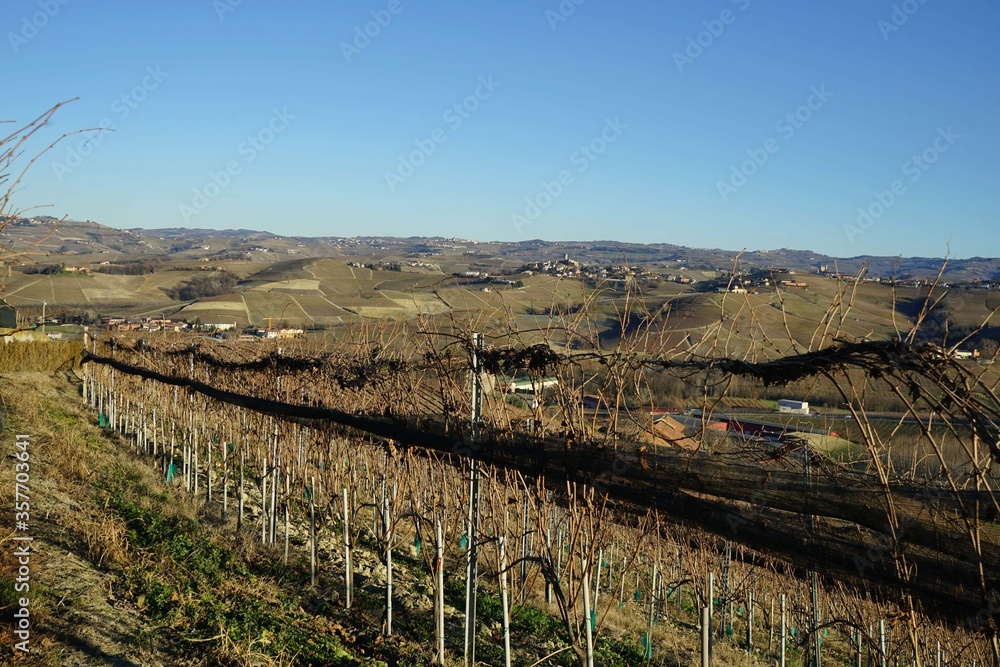 Vineyards in the Langhe during the winter. La Morra, Piedmont - Italy