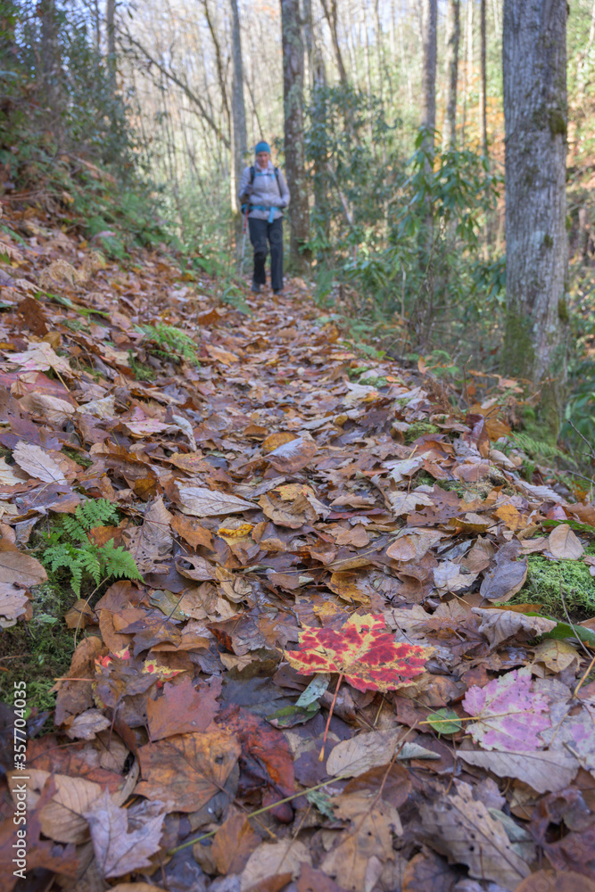 Woman Hiked Down Leaf Covered Trail Woman Hiked Down Leaf Covered Trail