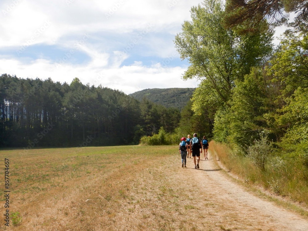 Path between the Verdon Gorges, France