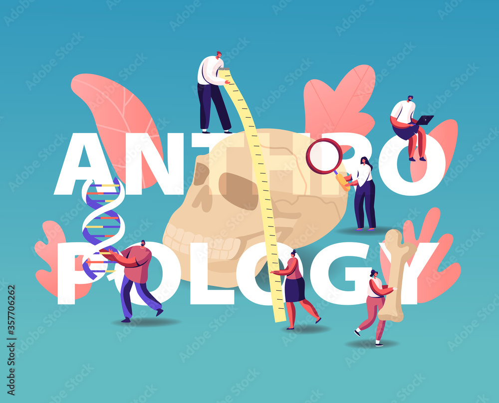 Fototapeta premium Anthropology Concept. People Research Ancient Fossils, Measuring Huge Human Skull and Study Dna. Tiny Characters Anthropological Science Investigation Poster Banner Flyer. Cartoon Vector Illustration