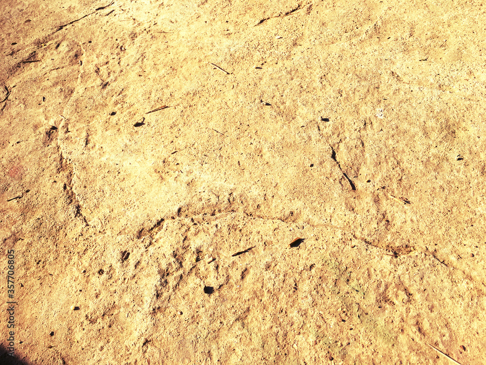 Fototapeta premium Ground surface texture close up on the summer sunny day