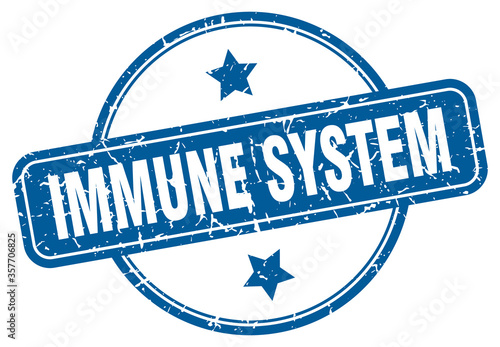 immune system grunge stamp. immune system round vintage stamp