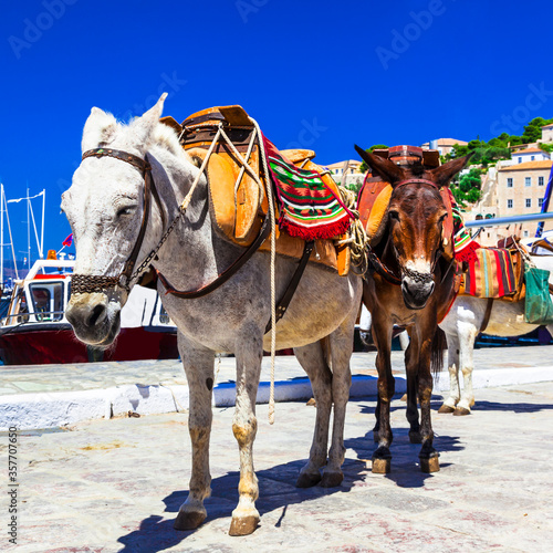 Traditional Greece - donkeys in Hydra island © Freesurf