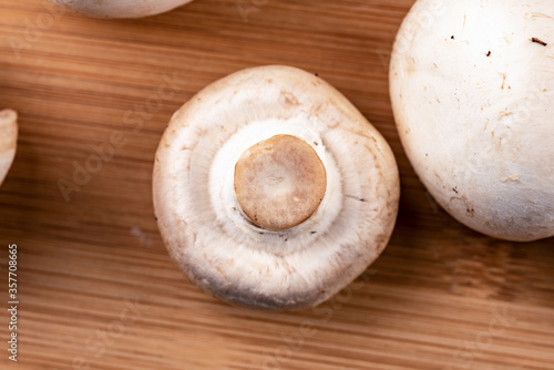 Macro shot of a slice of champignon mushroom.