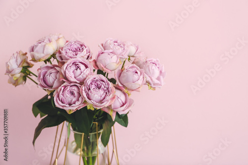 Vase with beautiful flowers on color background © Pixel-Shot