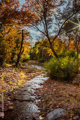 A sunburst backlights autum colors along Cave Creek in the Chiricahua Mountains of southeast Arizona. © Dennis