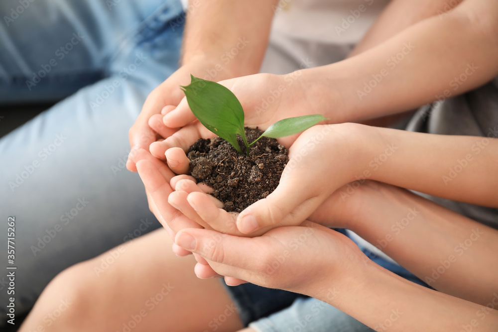 Hands of family with small plant, closeup