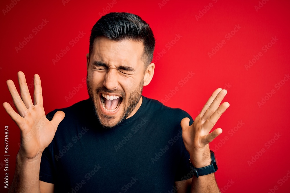 Young handsome man wearing casual black t-shirt standing over isolated red background celebrating mad and crazy for success with arms raised and closed eyes screaming excited. Winner concept Young handsome man wearing casual black t-shirt standing over isolated red background celebrating mad and crazy for success with arms raised and closed eyes screaming excited. Winner concept