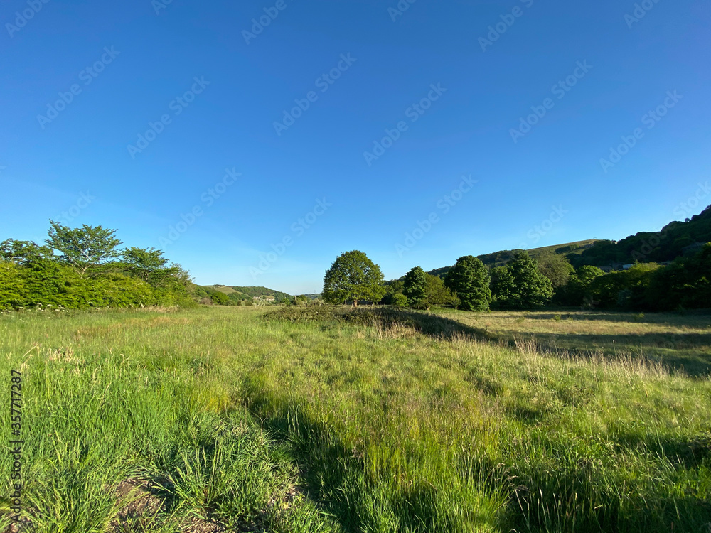 Fototapeta premium Landscape view of a large meadow, with wild flowers and trees in, Thornton, Bradford, UK