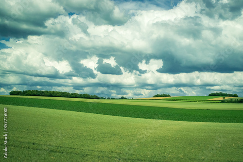 green field and cloudy sky © Michael