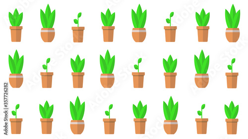Houseplants in terracotta flowerpots simple illustration.