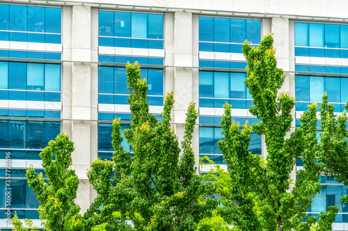 Vibrant green tree leaves with modern glass building exterior in the background