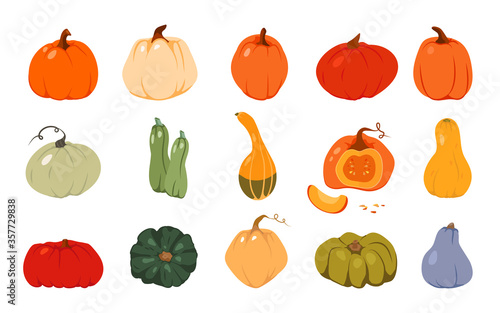Autumn pumpkin flat set. Colored cartoon different shape orange gourd. Gather farm harvest, season crop capacity. Thanksgiving and Halloween element. Ripe vegetable squash Isolated vector illustration