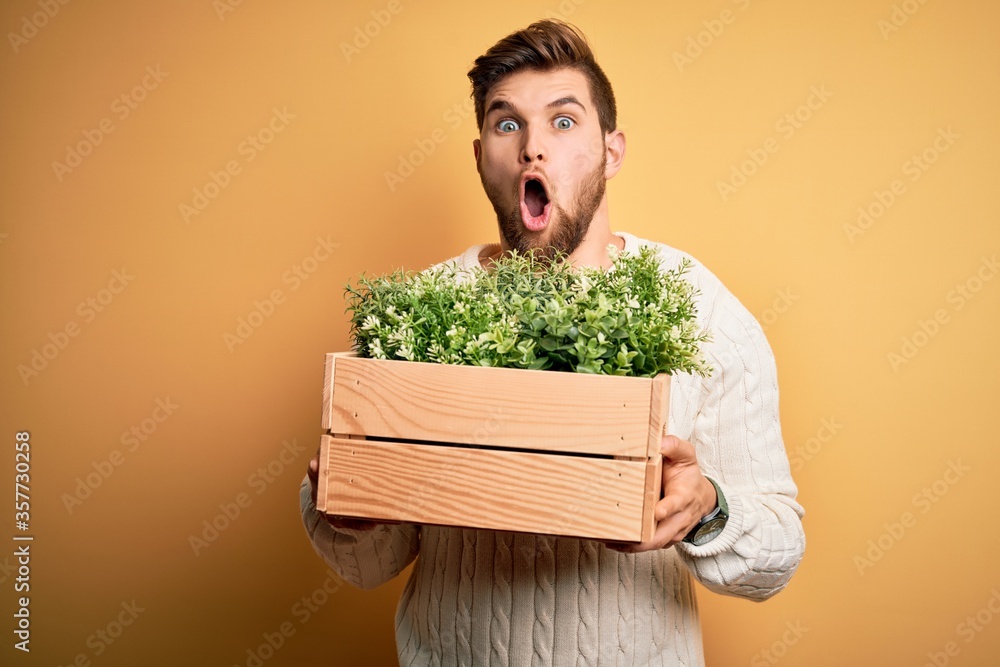 Young blond gardener man with beard and blue eyes holding wooden box