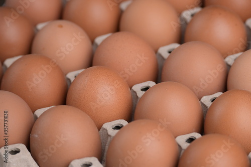 fresh organic egg in paper panel of consume industry