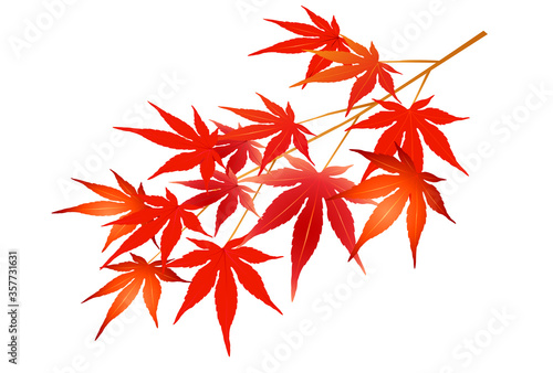 紅葉　もみじ　秋　アイコン