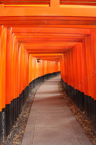 伏見稲荷 千本鳥居 Fushimi Inari Shrine one thousand tori-i gates
