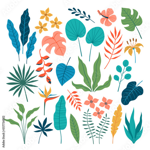 Collection of tropical leaves and flowers in flat style isolated on white background.