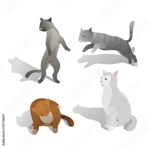 isometric cat in different poses