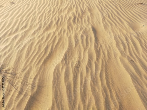 sand ripples in the sand © Pooja Prajapat