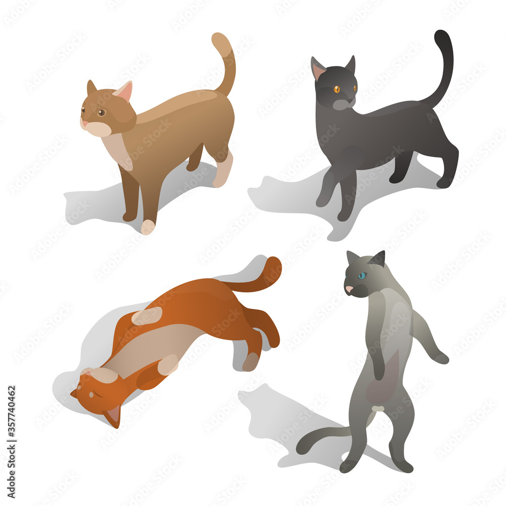 isometric cat set isometric cat set
