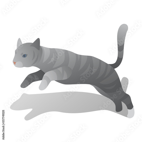 isometric jumping cat