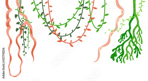 vine jungle vector hangs creeper plant branch