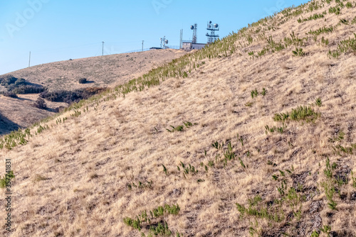Steep mountain slope with dried grass day light