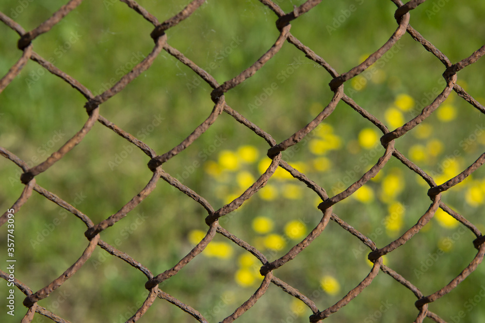Old rusty Chain-link fencing fence net through which a field with grass and blooming dandelions and yellow flowers is visible Old rusty Chain-link fencing fence net through which a field with grass and blooming dandelions and yellow flowers is visible