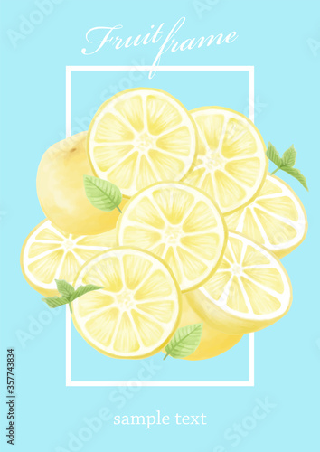 夏　フルーツ　グレープフルーツ　レモン　オレンジ　イラストセット