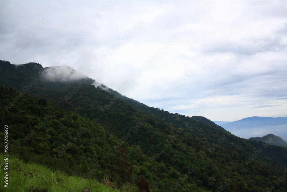 Forest landscape in Mount Guntur, West Java, Indonesia. Forest landscape in Mount Guntur, West Java, Indonesia.
