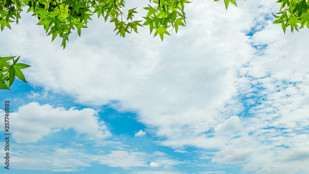 青空と雲 青空と雲