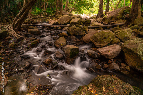 small flowing stream in the forest