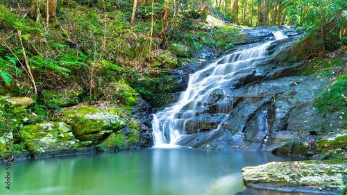 waterfall in the forest