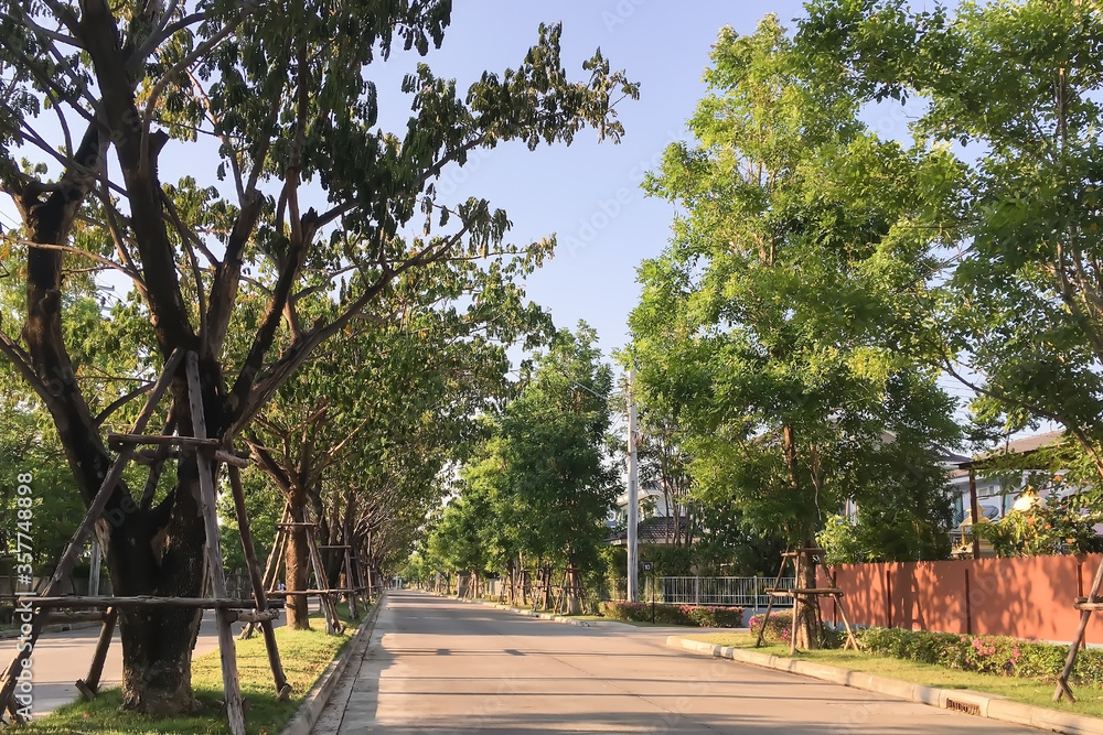 Perspective view of small road in peaceful countryside park with freshness row of trees and green lawn on beautiful summer blue sky background. Perspective view of small road in peaceful countryside park with freshness row of trees and green lawn on beautiful summer blue sky background.