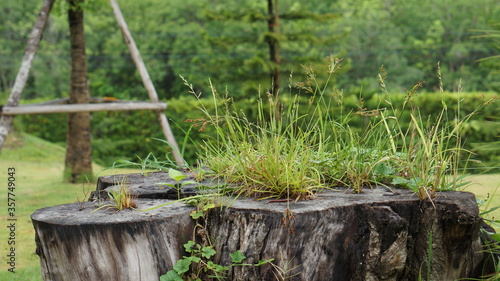 old wooden fence © apisit