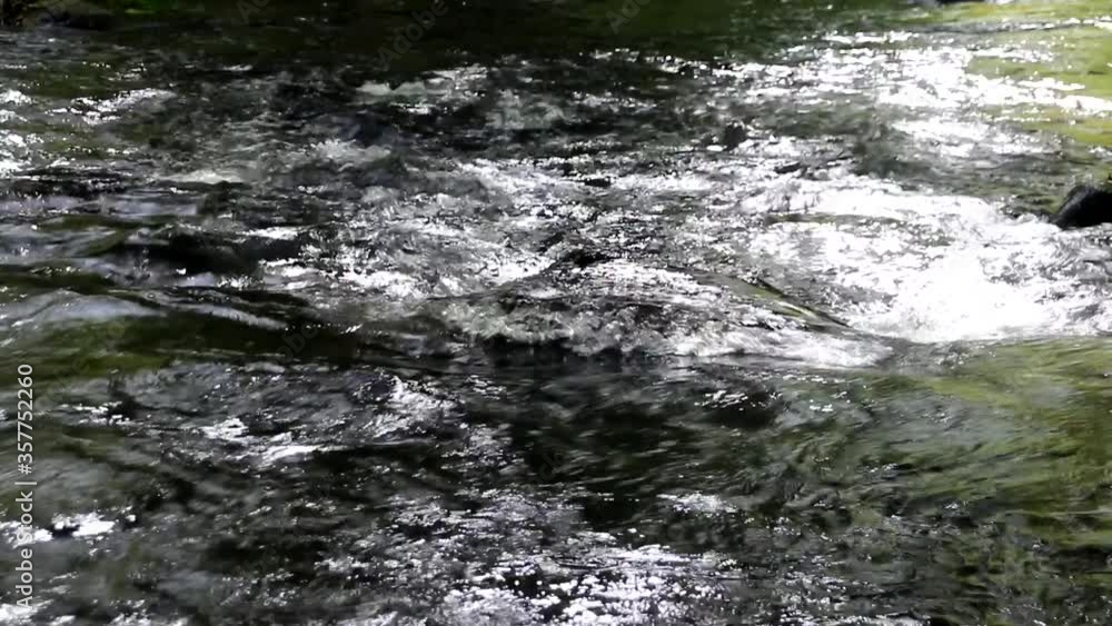An abstract view with the fast flow of Oak Creek in Sedona filing the frame and the water flowing around a just protruding rock in mid stream. An abstract view with the fast flow of Oak Creek in Sedona filing the frame and the water flowing around a just protruding rock in mid stream.