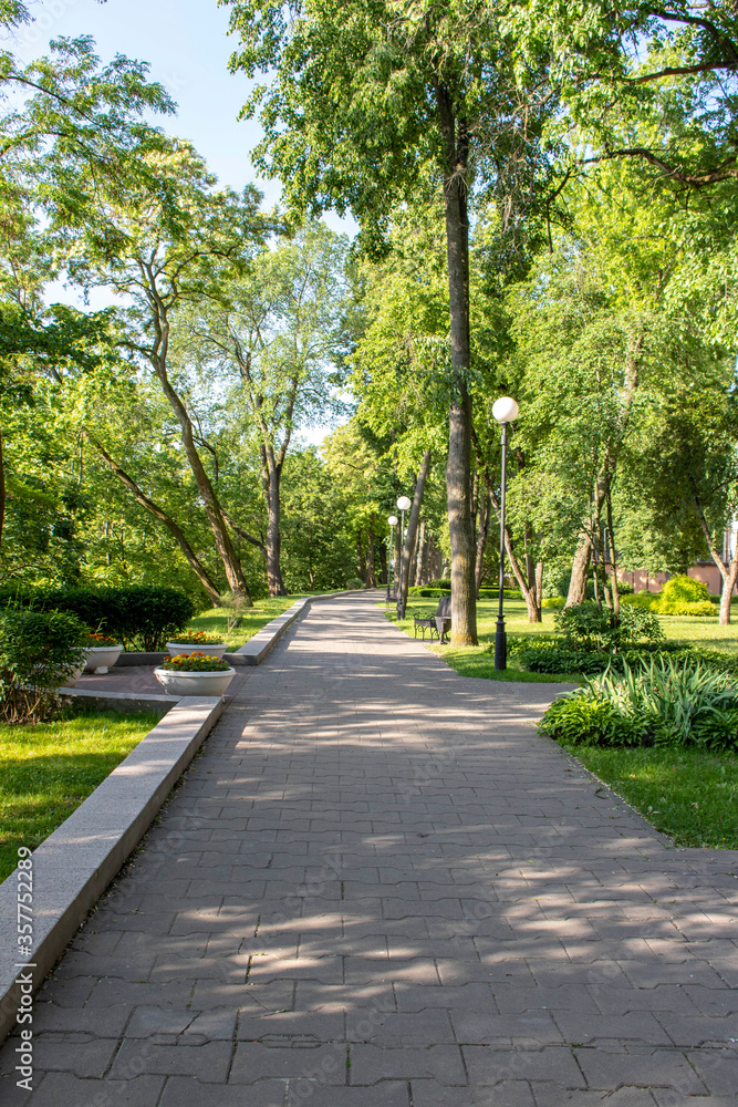 Alley in the Park on a summer morning.