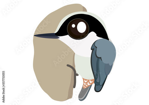Giant nuthatch bird cartoon. Birds collection nuthatch, cute bird vector illustration.