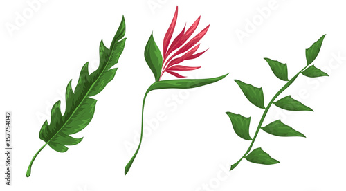 Jungle leaves and flowers 