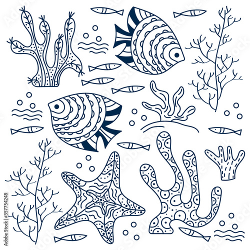 Sea floor  underwater world. Fish and seaweed on a white background. Hand drawing vector drawing. Contour drawing for the cover  poster or book coloring pages