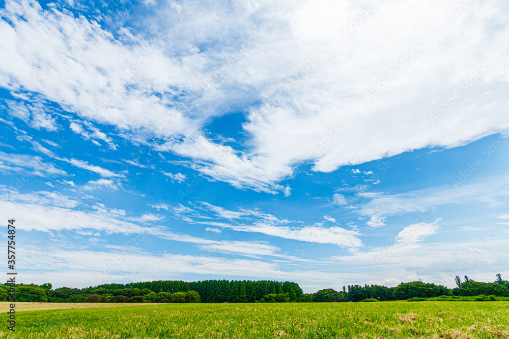 Fototapeta premium 青空と雲