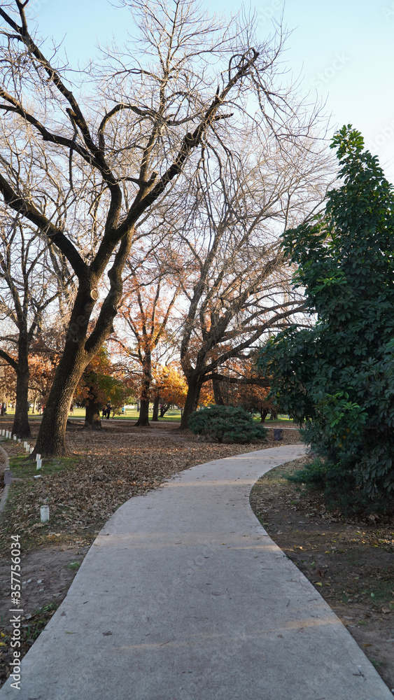 path in the park in autumn