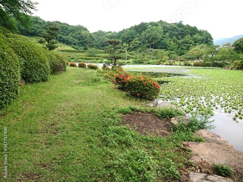 水草の生い茂る池の畔の小径