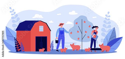Couple of farmers feeding pigs. Young man and woman, backyard, farm, picking apples flat vector illustration. Agriculture, farming, business concept for banner, website design or landing web page