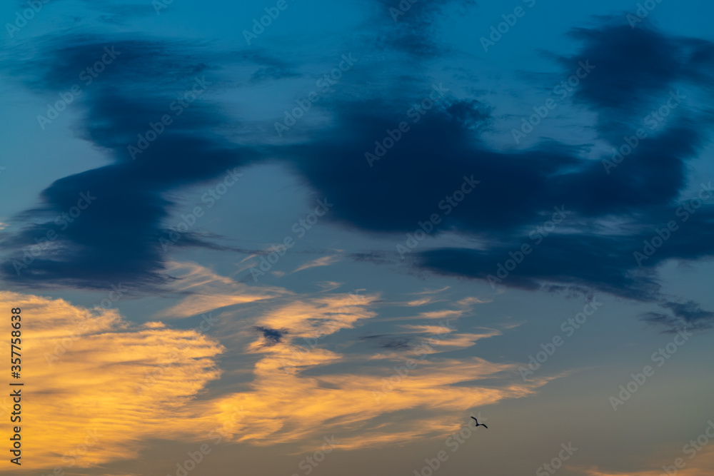 Fototapeta premium Beautiful clouds in the evening sky